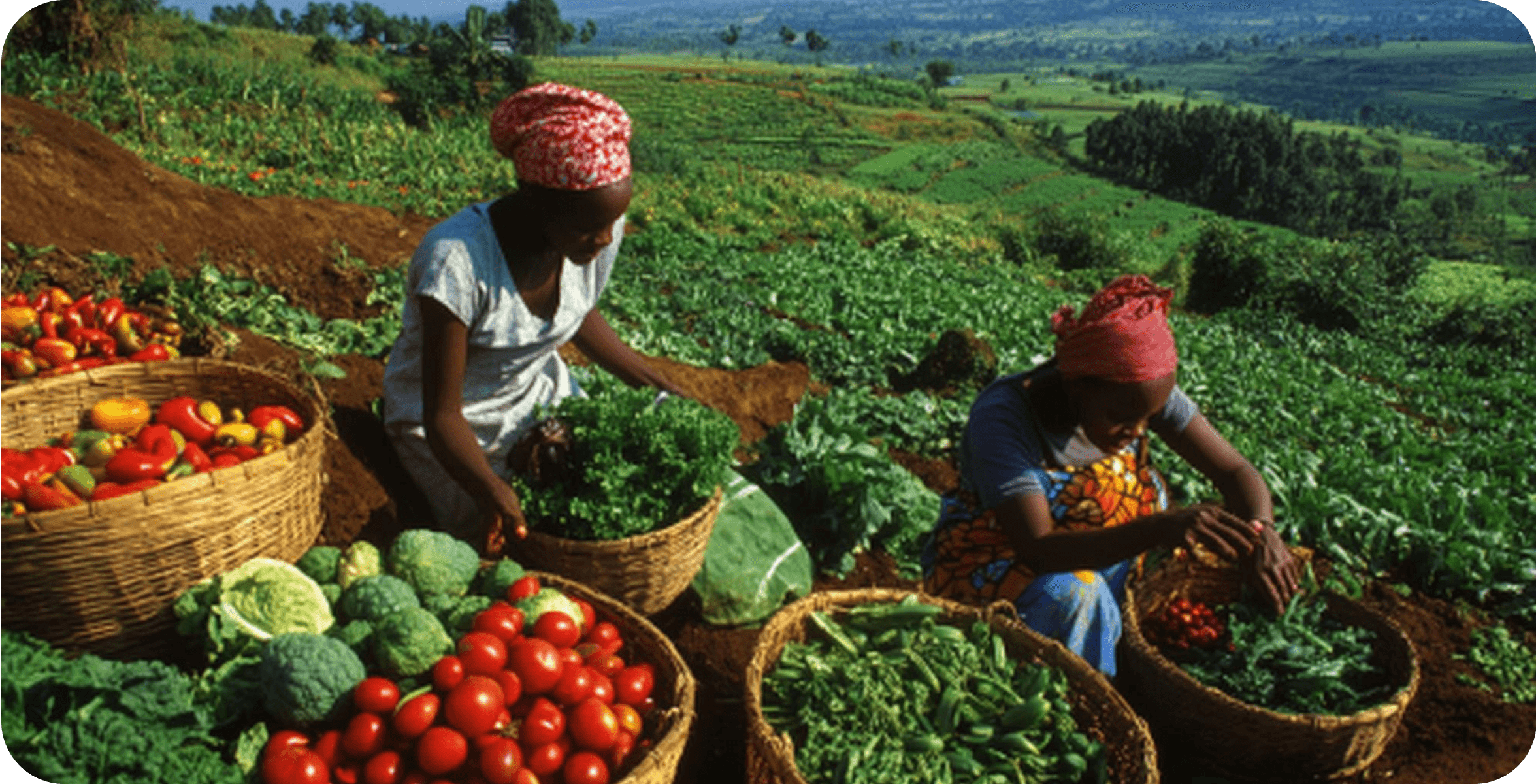 Payments to Kenya and mobile money settlement